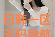 无码日韩,揭秘隐秘的视觉盛宴